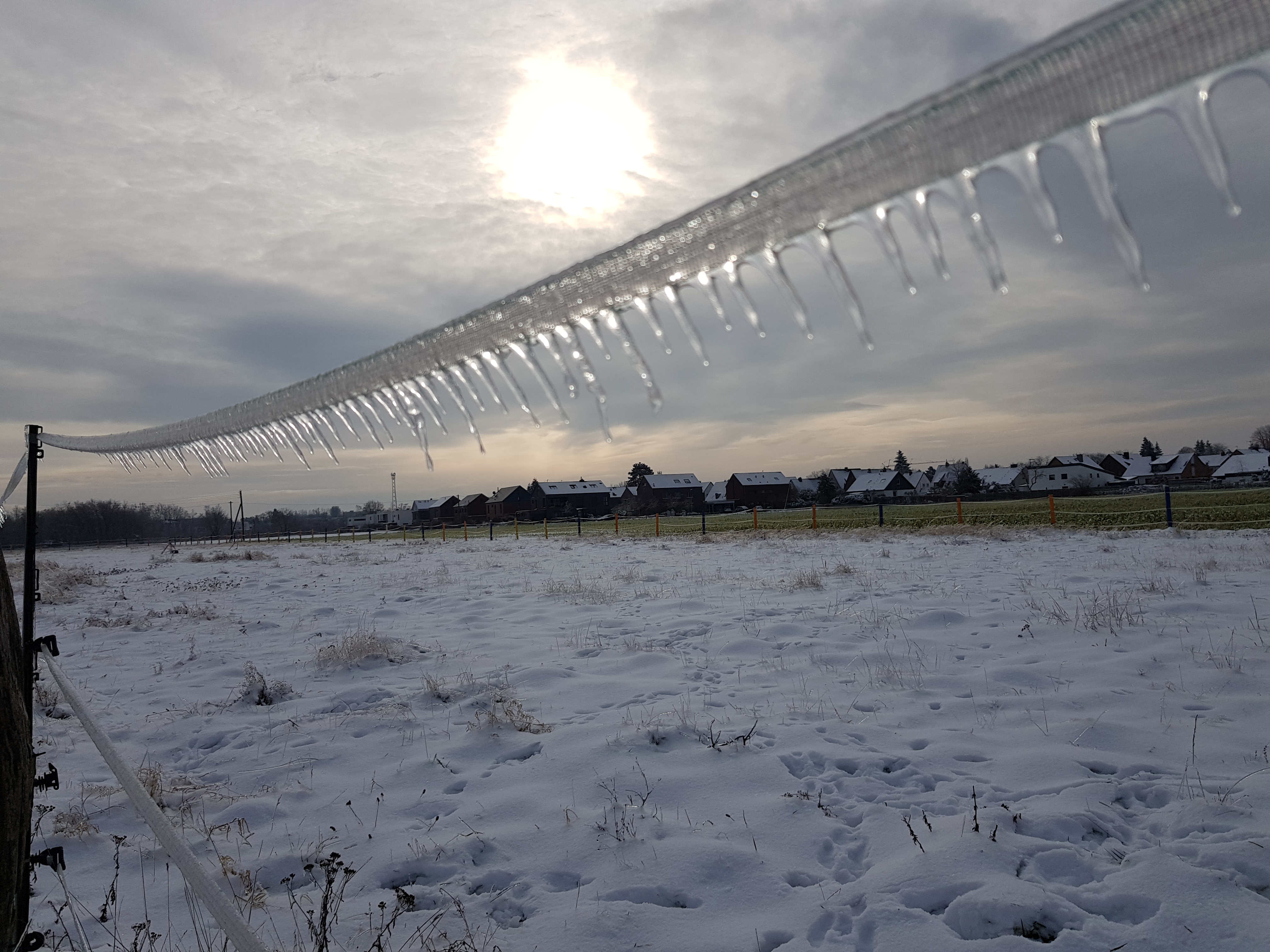 Foto: Thorsten Wendt